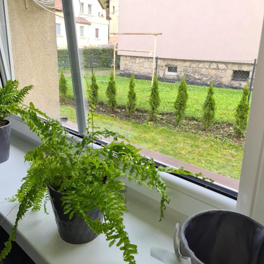 Apartament Przy Rondzie Kłodzko Eksteriør billede